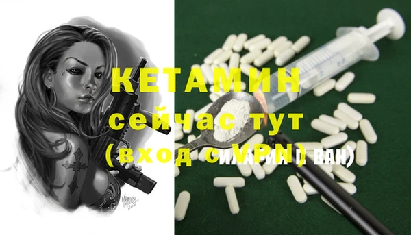 трава Новодвинск